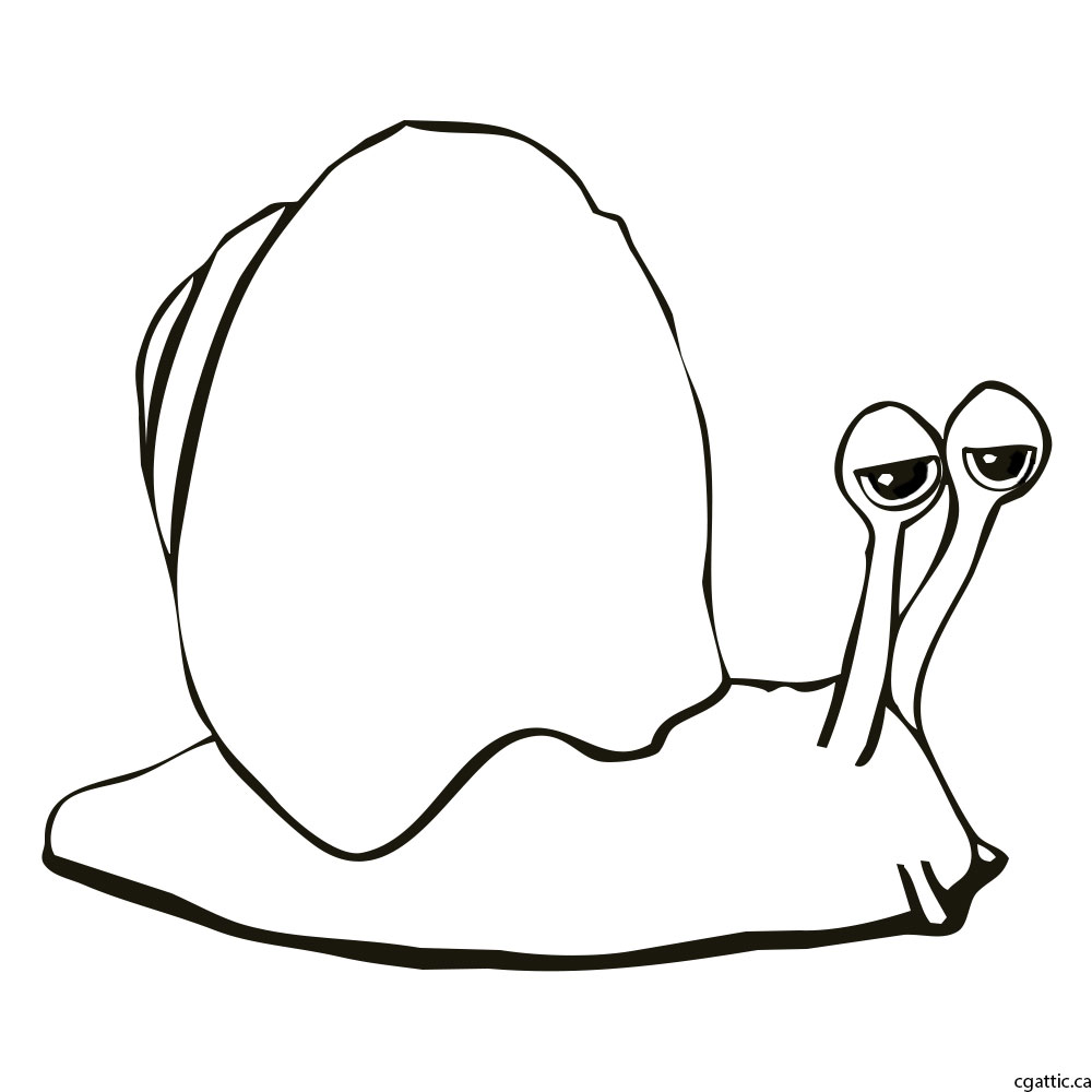 1000x1000 Cartoon Snail Drawing In Photoshop