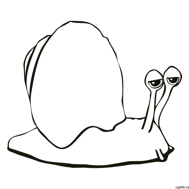 736x736 The Best Snail Cartoon Ideas Image Cartoonizer