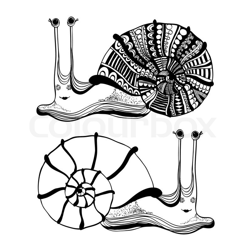 800x800 Cartoon Drawing Of Cute Smiling Snail Stock Vector Colourbox