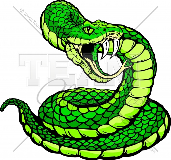 590x551 Coiled Snake Clipart