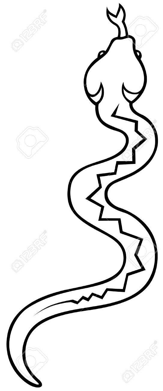 543x1300 Drawn Snake Snake Black And White