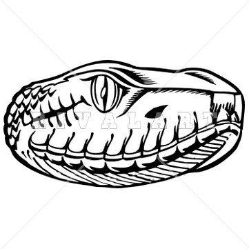 361x361 Snake Head Clipart Snake Head Clip Art Black And White Clipart
