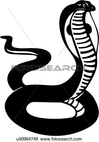 329x470 Top 94 Cobra Clip Art