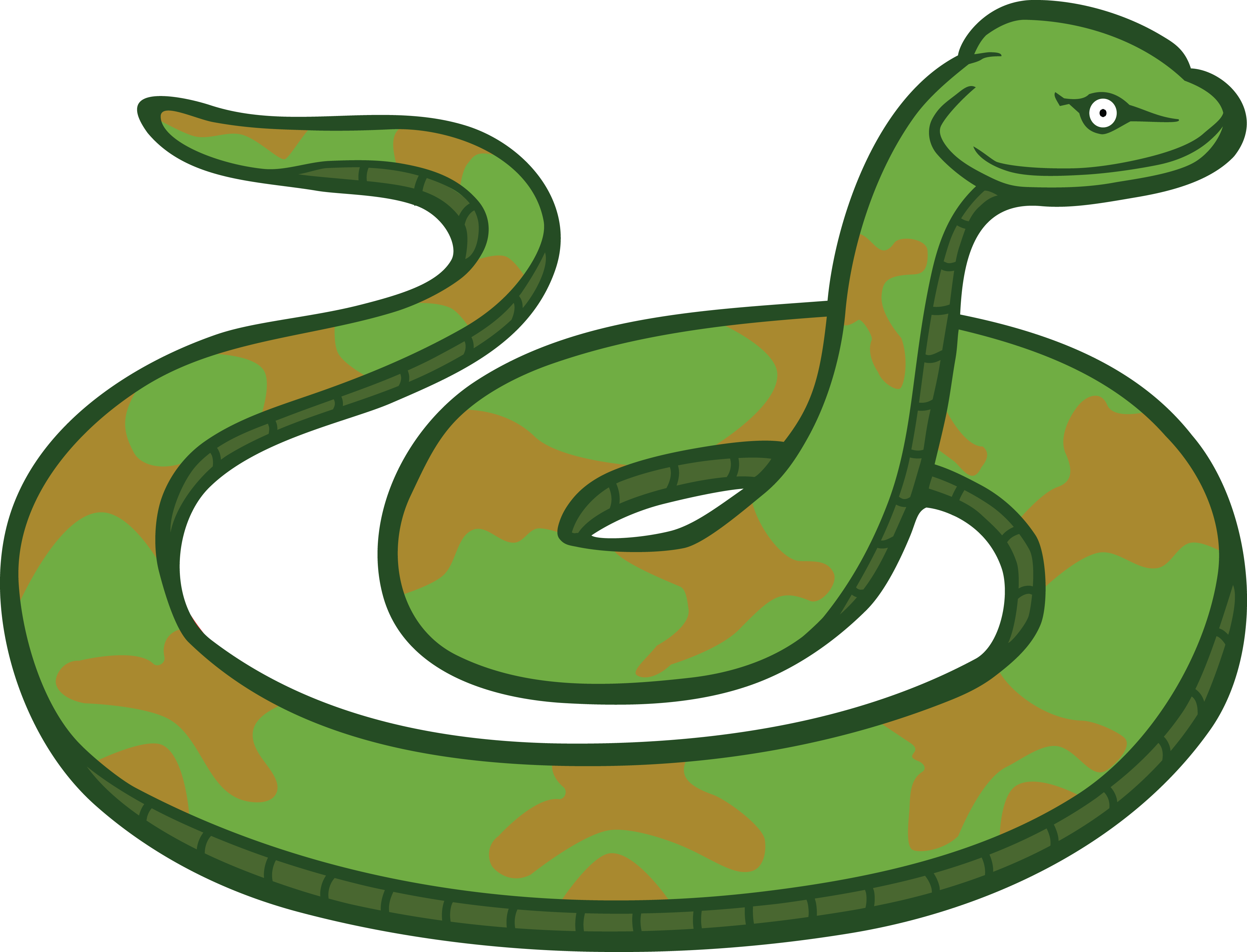 Snake Clipart