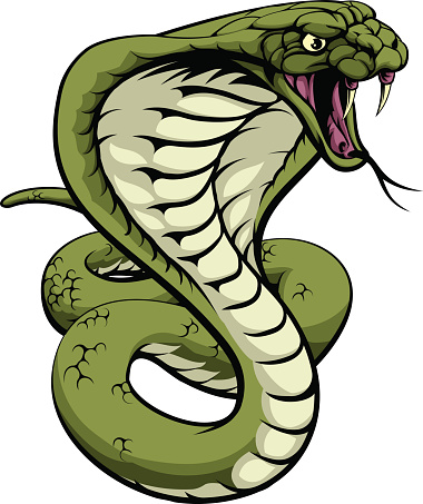 380x453 Top 94 Cobra Clip Art