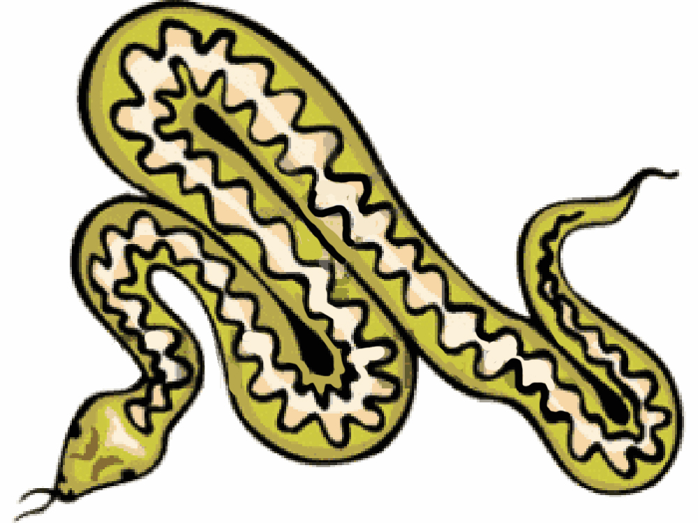 1000x750 Cute Snake Clipart Black And White Free 2