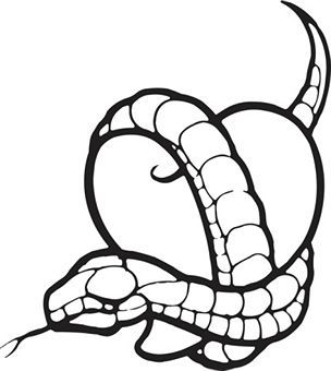 304x340 How To Draw A Viper Snake