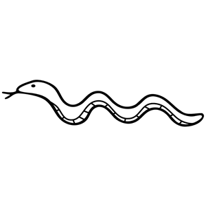 300x300 Snake Black And White Reptile Outline Clipart Black And White