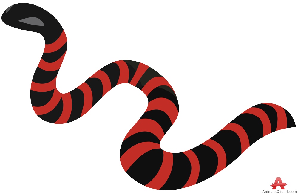 999x649 Snake Clip Art Adiestradorescastro Clipart Image 1