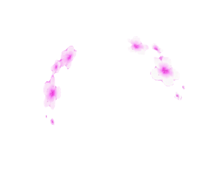 721x558 Snapchat Filter Flower Tears Transparent Png
