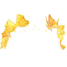 225x225 Afbeeldingsresultaat Voor Tumblr Png Snapchat Filter Edits