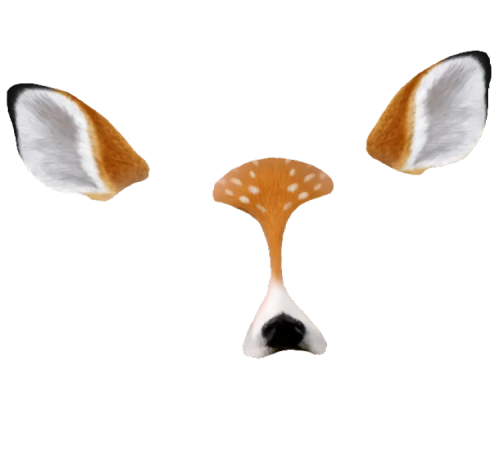 500x451 That Snap Chat Filter Tumblr