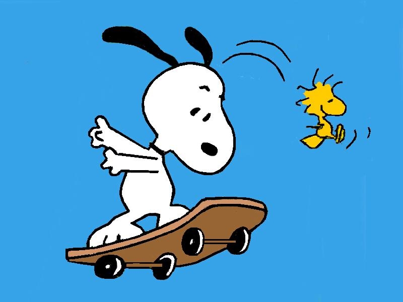 800x600 Funny Snoopy Dog