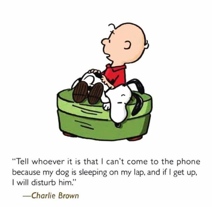 720x702 220 Best Snoopy Images Cartoons, Drawings And Cards