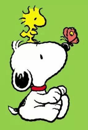 284x416 Best Baby Snoopy Ideas Snoopy, Woodstock
