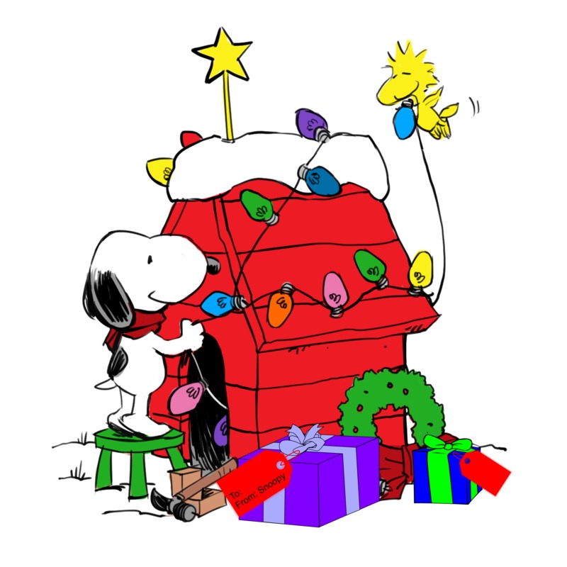 800x800 New Snoopy Display