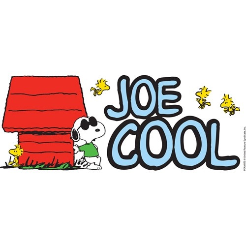 500x500 Charlie Brown And Snoopy Joe Cool