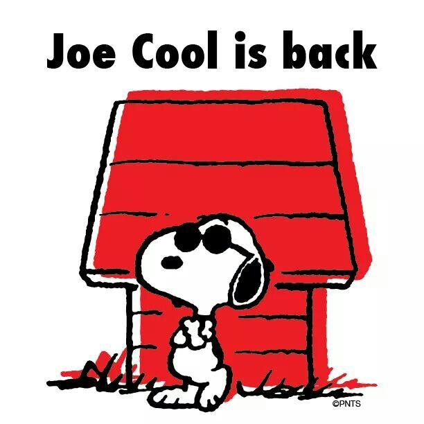 612x612 119 Best Joe Cool Images Friends, Animal Sketches