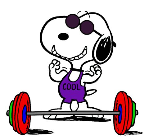480x450 703 Best Joe Cool Aka Snoopy