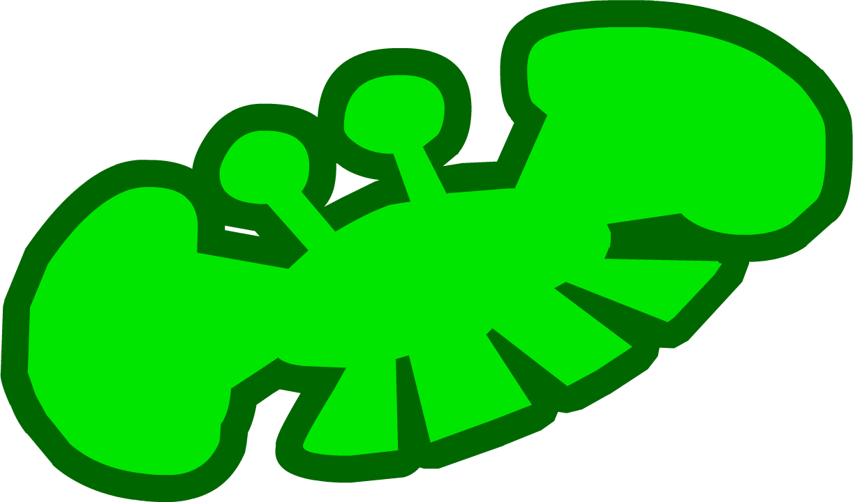 1222x720 Snow Angel Pictures