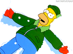 245x182 The Simpsons Gif