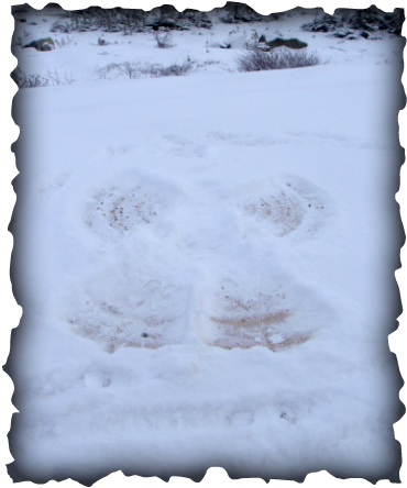 370x444 Blog Archives