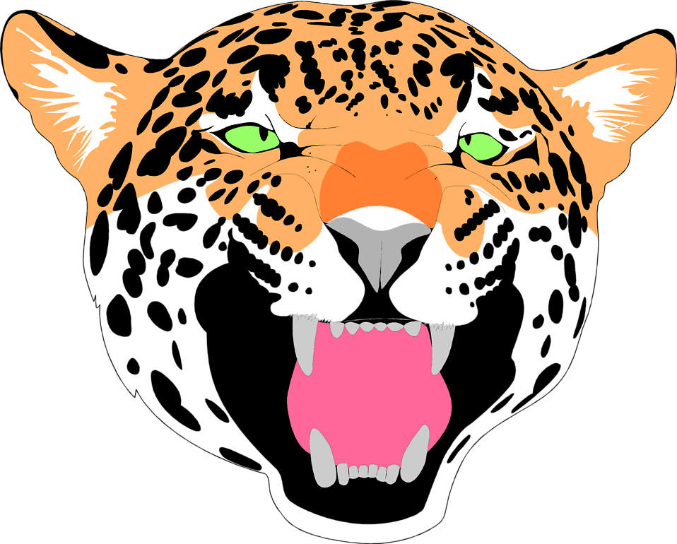 958x770 Jaguar Clipart Face