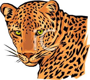 300x264 Leopard Clipart Leopard Face