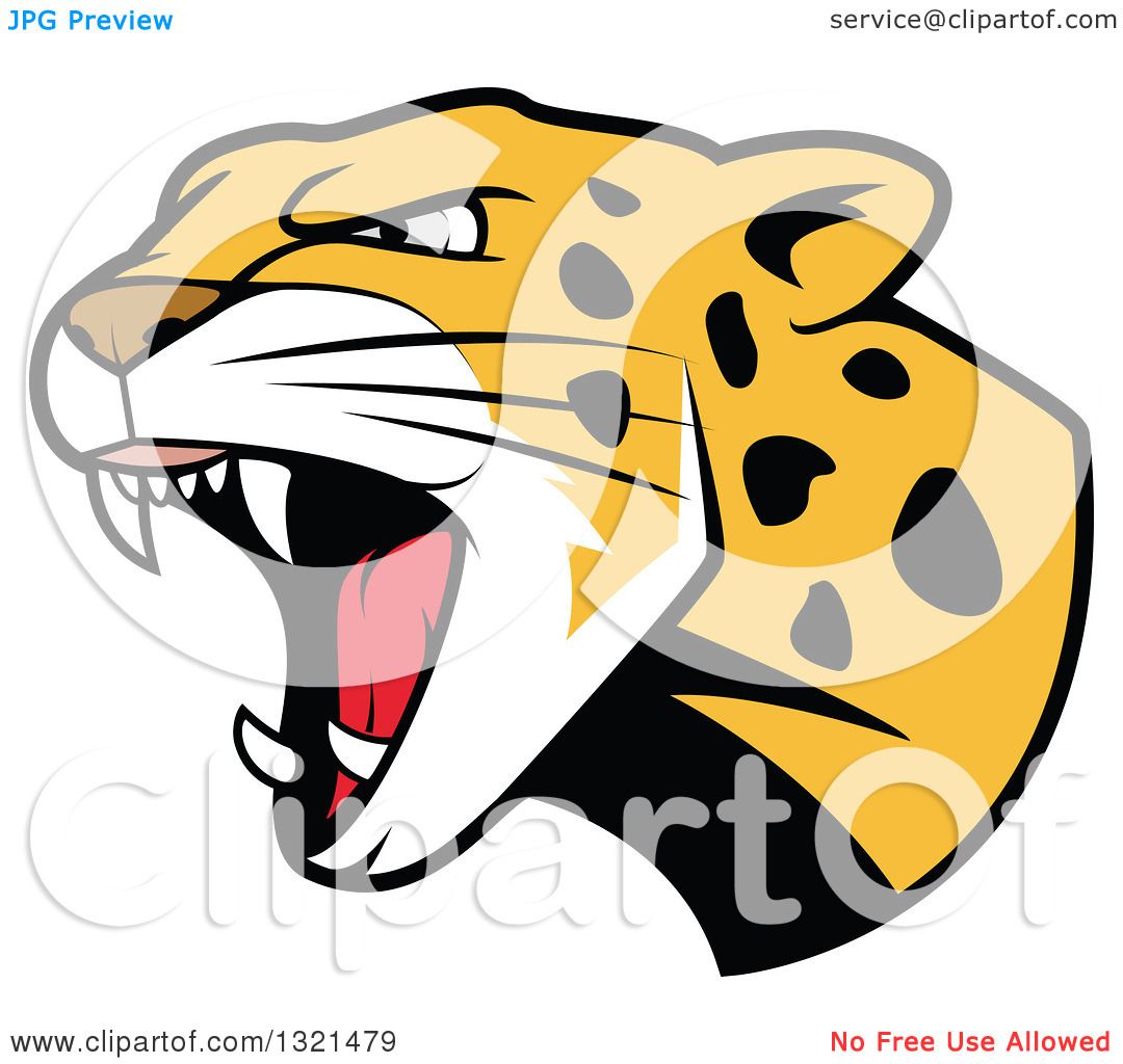 1080x1024 Snow Leopard Clipart Angry