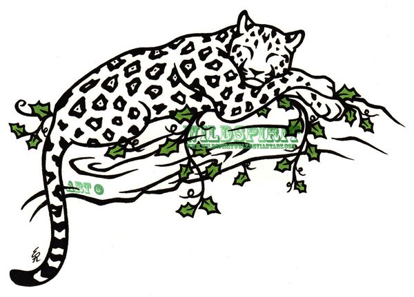 600x431 42 Best Tattoo Drawings Of Jaguars Images Design