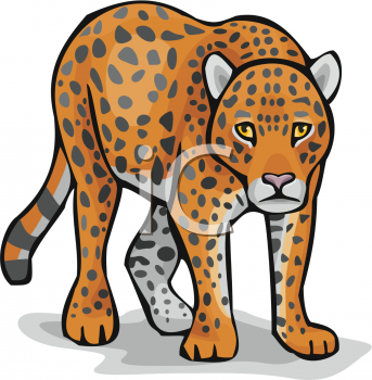343x350 Top 85 Leopard Clip Art