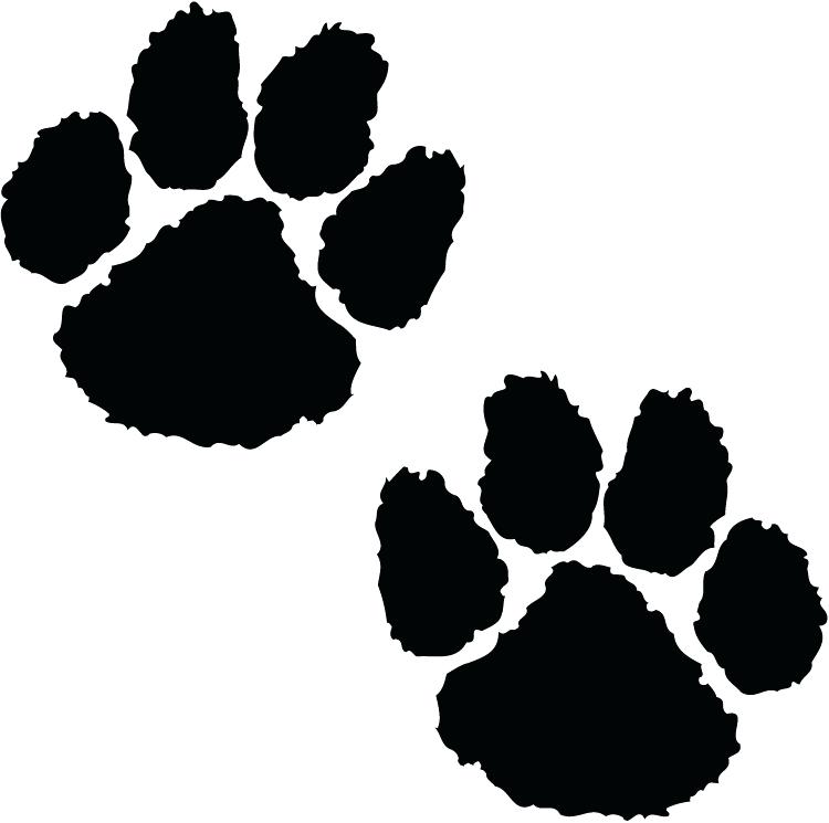 750x745 Leopard Clipart Leopard Clipart Images Memocards.co