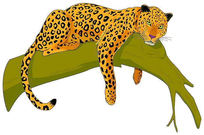 700x464 Leopard Clipart