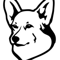 250x250 Corgi Snow Service