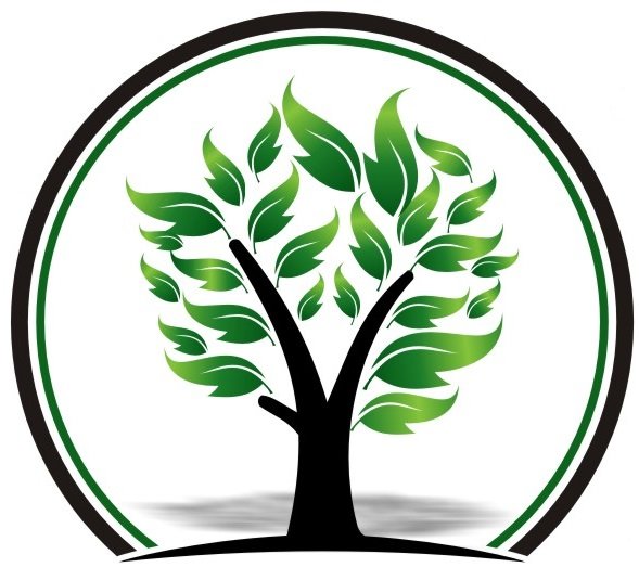 589x535 Emergency Snow Removal Snow Plowing Midlothian, Va