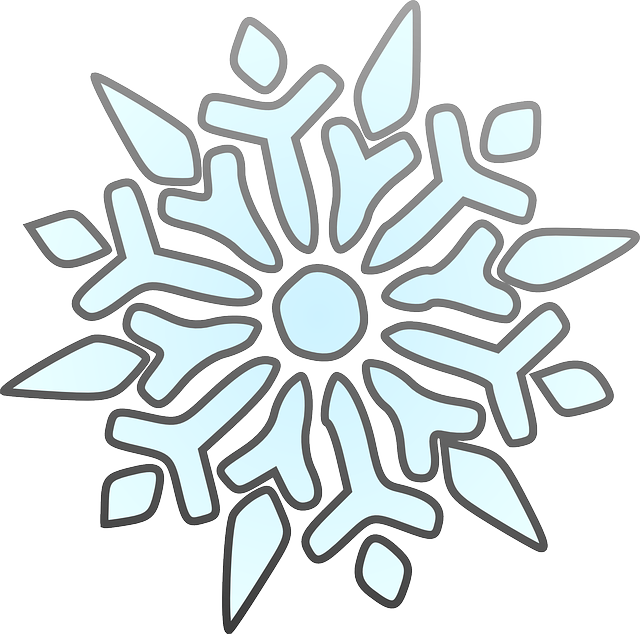 640x634 Free Pictures Snowflake
