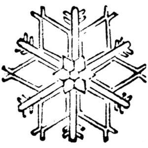 300x300 Clipart For Free Snowflake Clipart