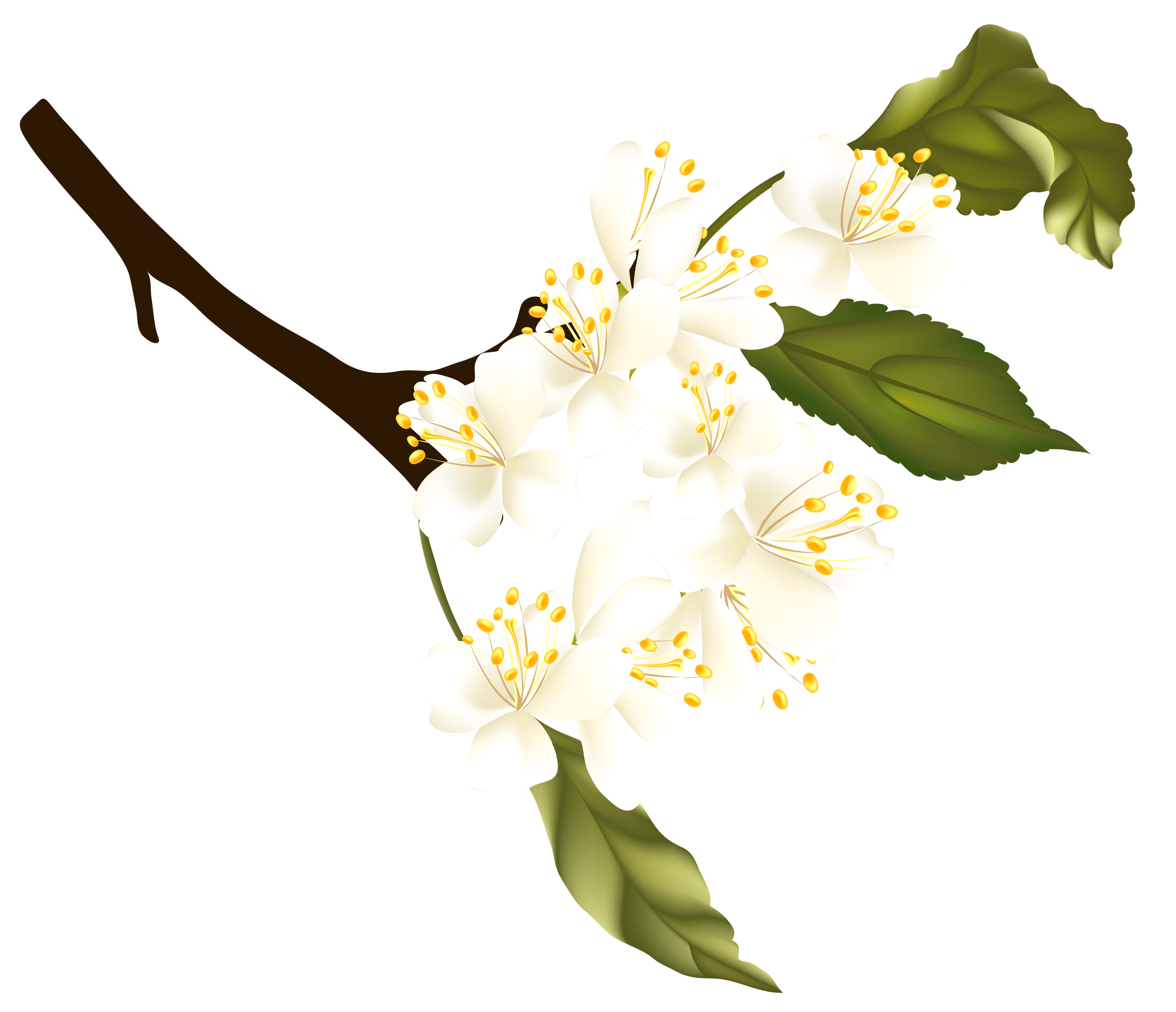 3790x3261 Png Transparent Background Clipart