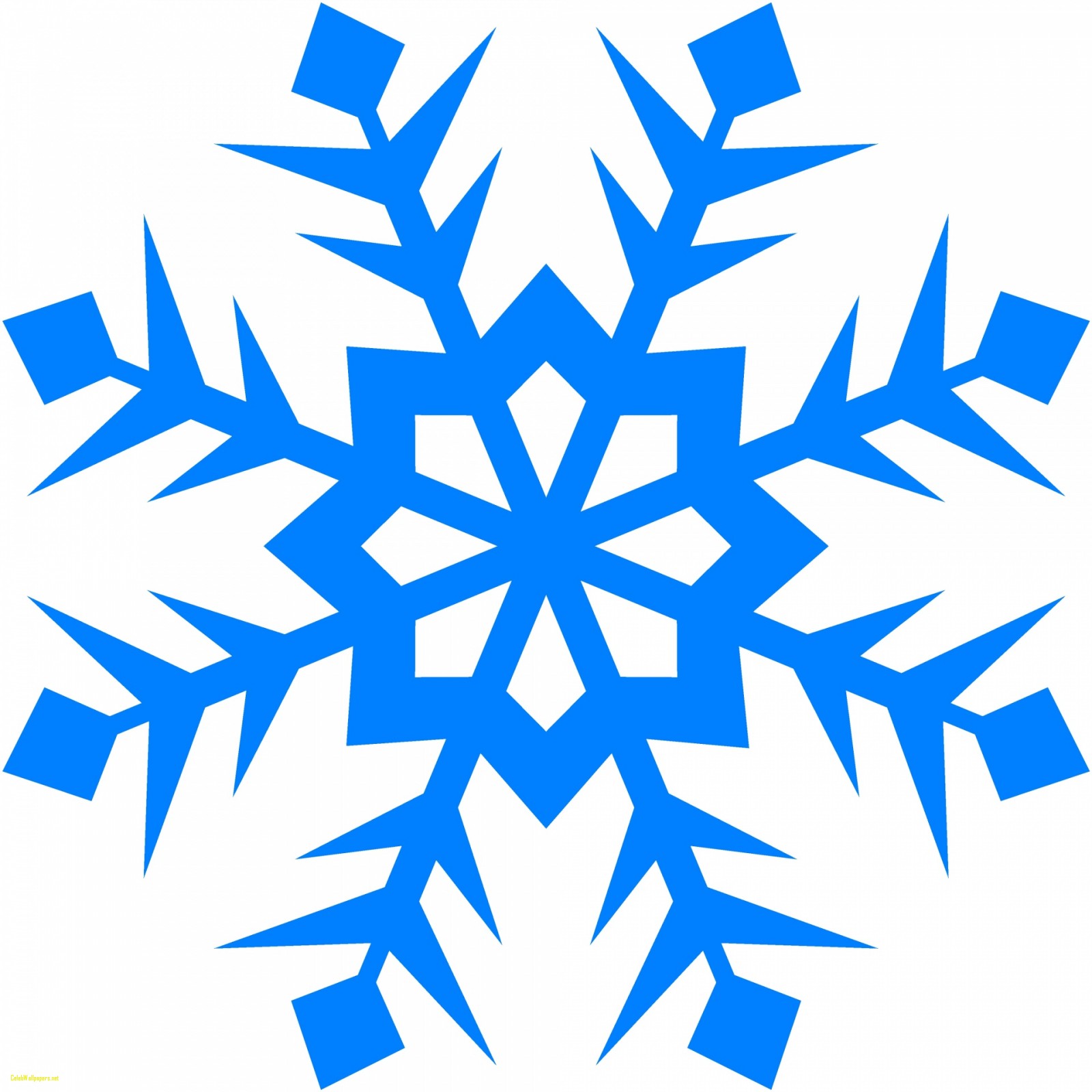 1600x1600 Pictures Of Snowflakes Best Of Celebswallpaper