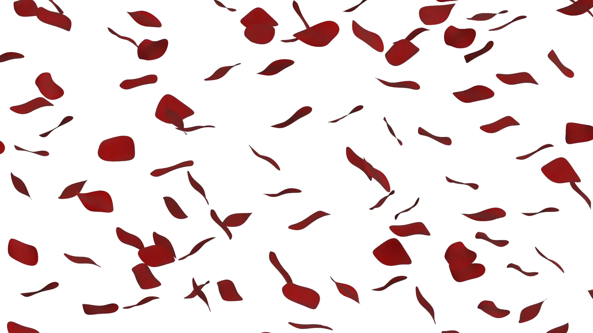 1920x1080 Falling Snowflakes On Transparent Background With Alpha Channel