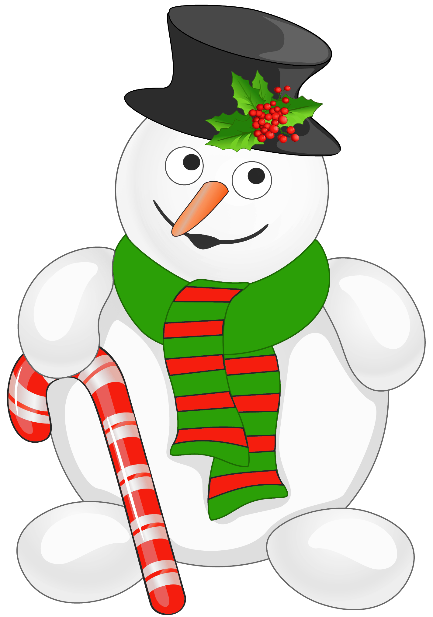 1424x2028 Snowman Pictures Images