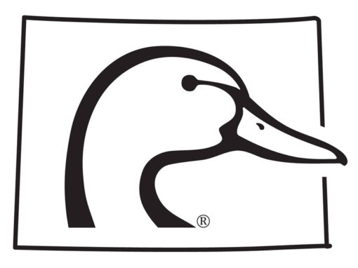 510x382 Snowmobiling