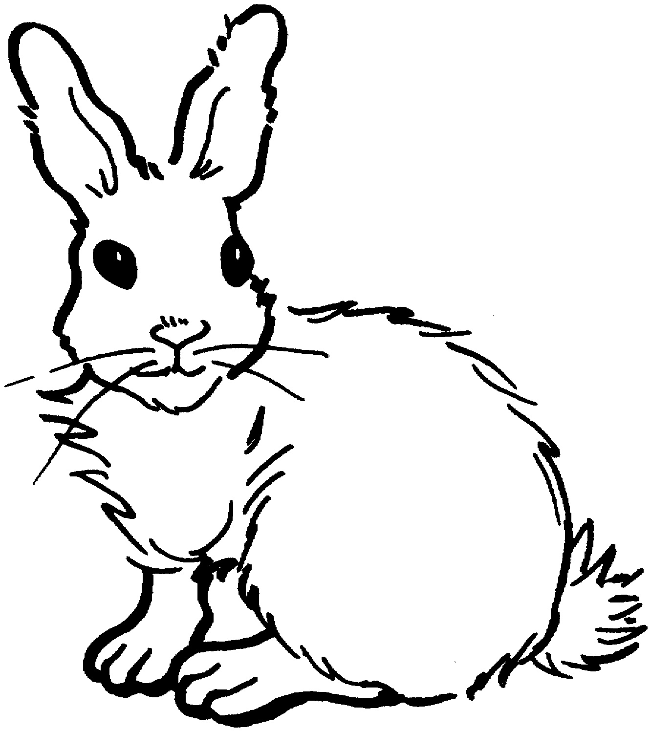 1332x1496 Snowshoe Rabbit Clipart