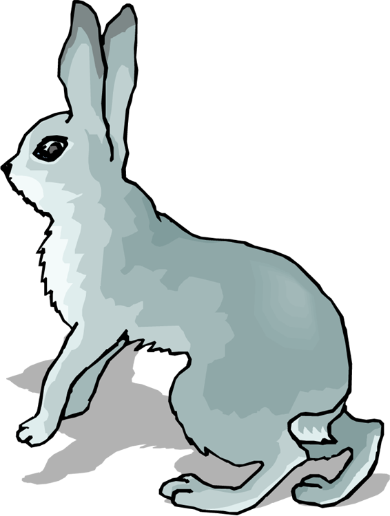 566x750 Top 93 Hare Clip Art