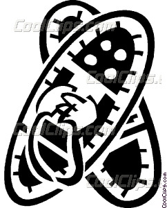242x300 Snow Shoes Vector Clip Art