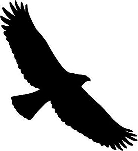 274x300 Eagle Silhouette Clip Art