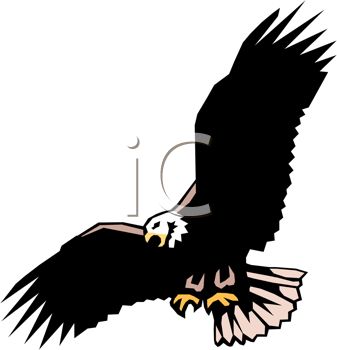 337x350 Picture Of A Bald Eagle Soaring Through The Sky In A Vector Clip
