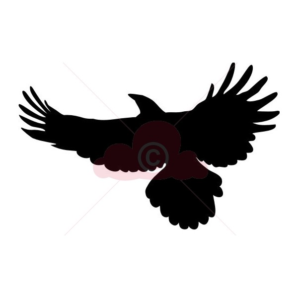 600x600 Soaring Eagle Clipart