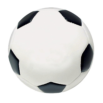 330x330 Mini Autograph Soccer Ball Baden Sports