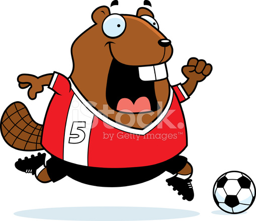 509x439 Cartoon Beaver Soccer Stock Vector